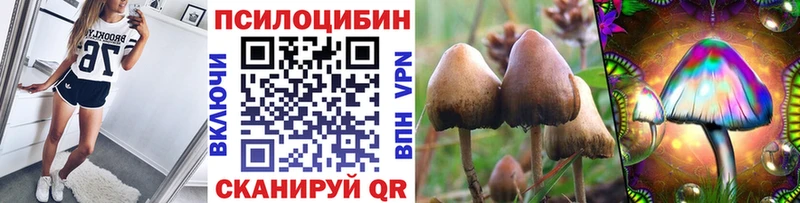 kraken рабочий сайт  Серпухов  Псилоцибиновые грибы Cubensis 